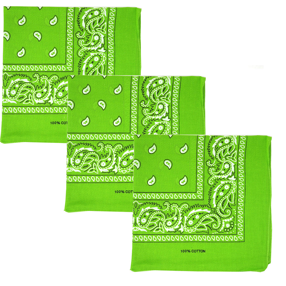 Paisley 3 piece Assorted Cotton Bandanas