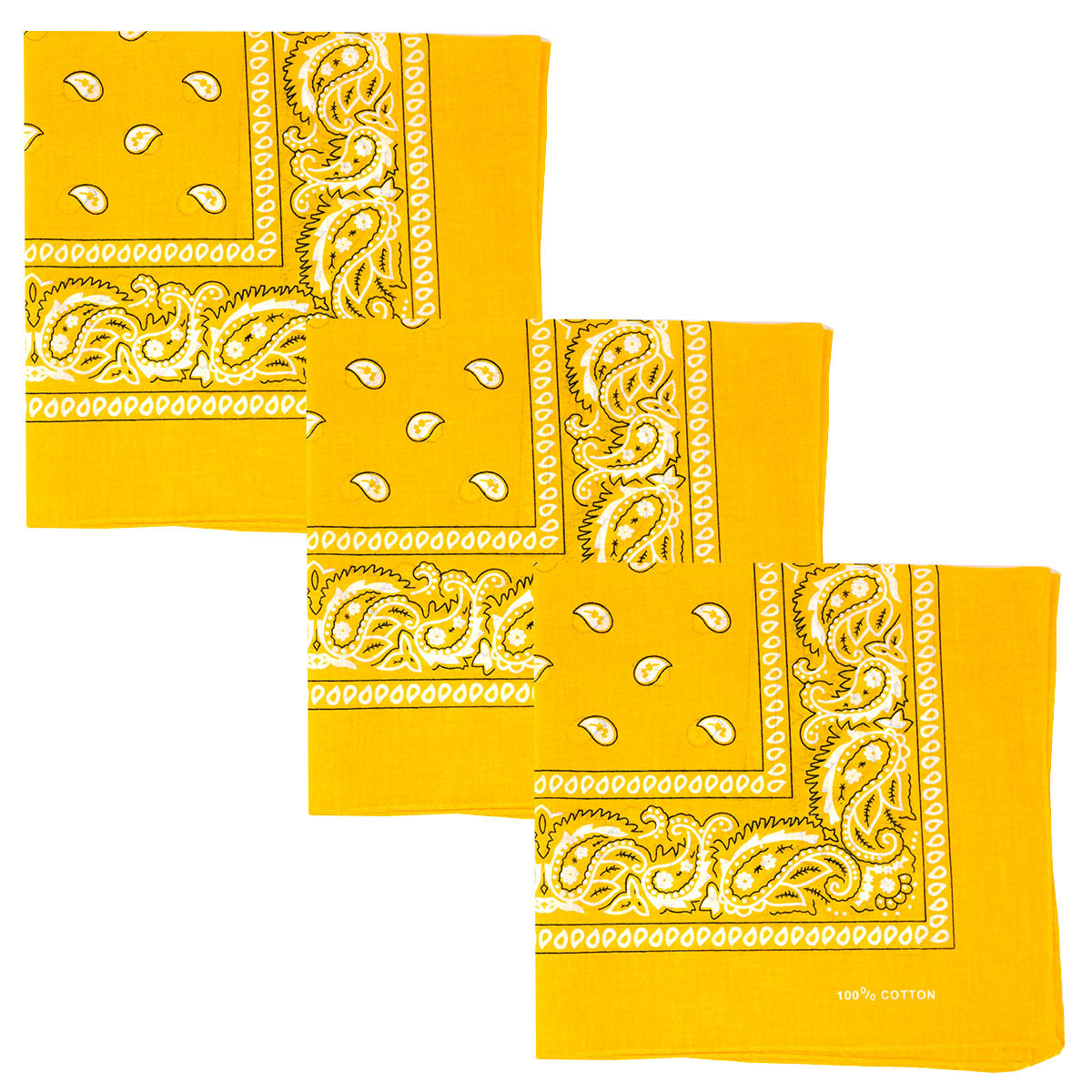 Paisley 3 piece Assorted Cotton Bandanas