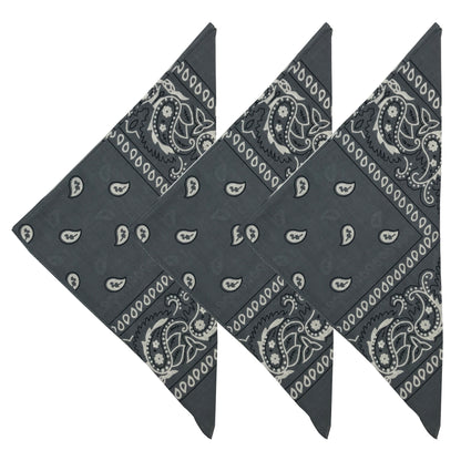 Paisley 3 piece Assorted Cotton Bandanas