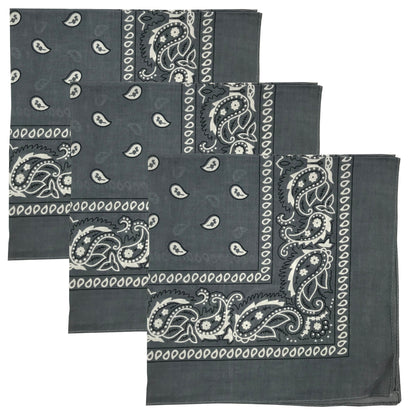 Paisley 3 piece Assorted Cotton Bandanas