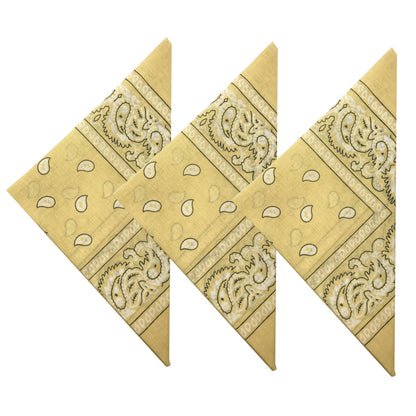 Paisley 3 piece Assorted Cotton Bandanas