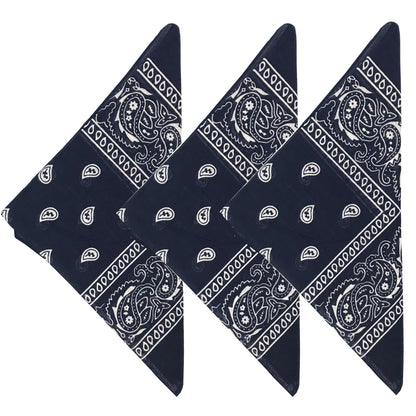 Paisley 3 piece Assorted Cotton Bandanas