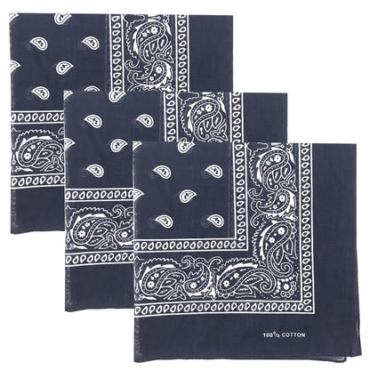 Paisley 3 piece Assorted Cotton Bandanas