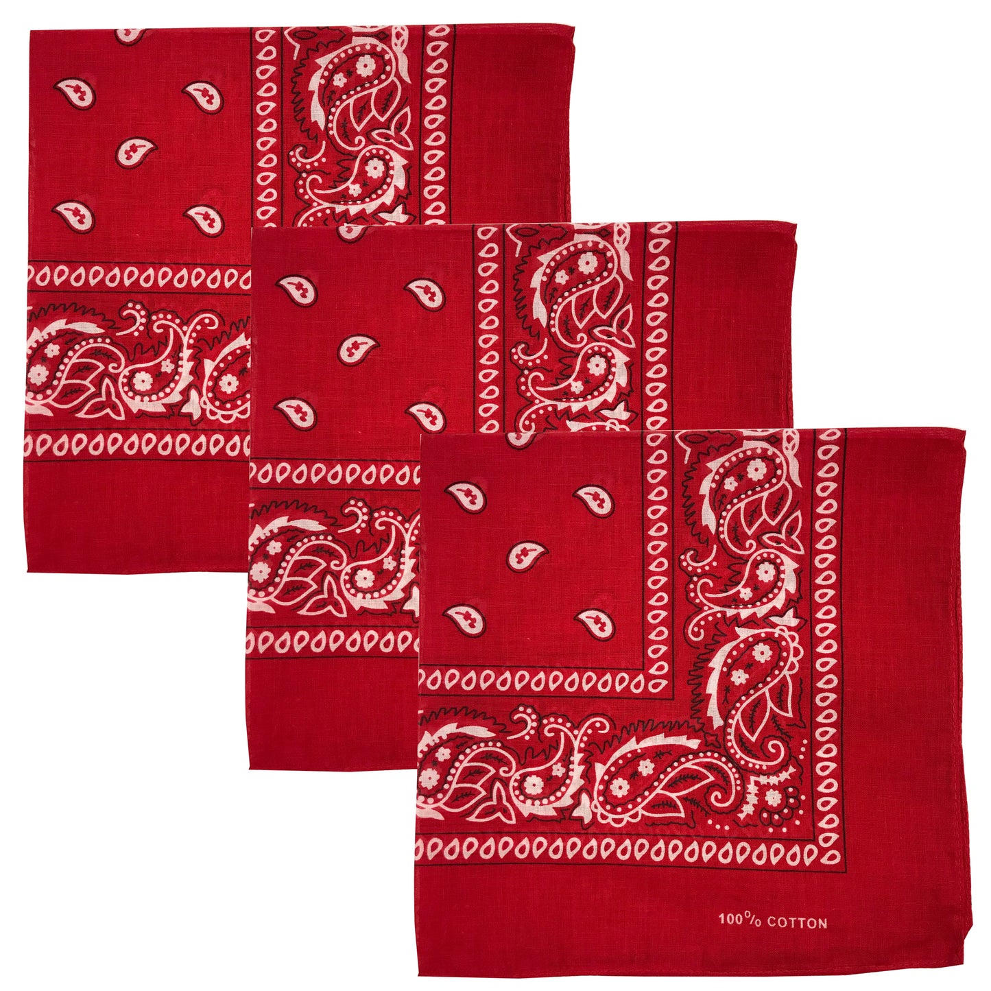 Paisley 3 piece Assorted Cotton Bandanas