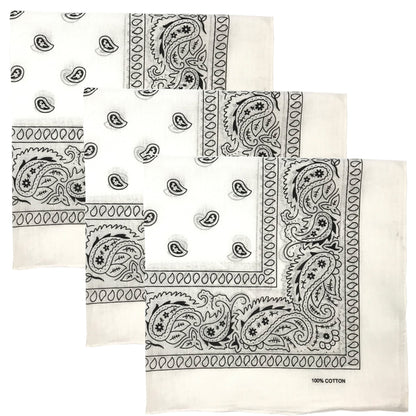 Paisley 3 piece Assorted Cotton Bandanas