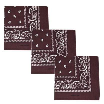 Paisley 3 piece Assorted Cotton Bandanas