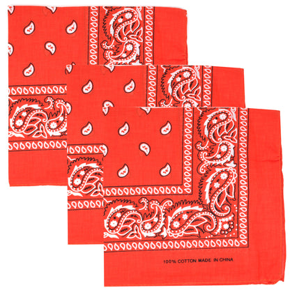 Paisley 3 piece Assorted Cotton Bandanas