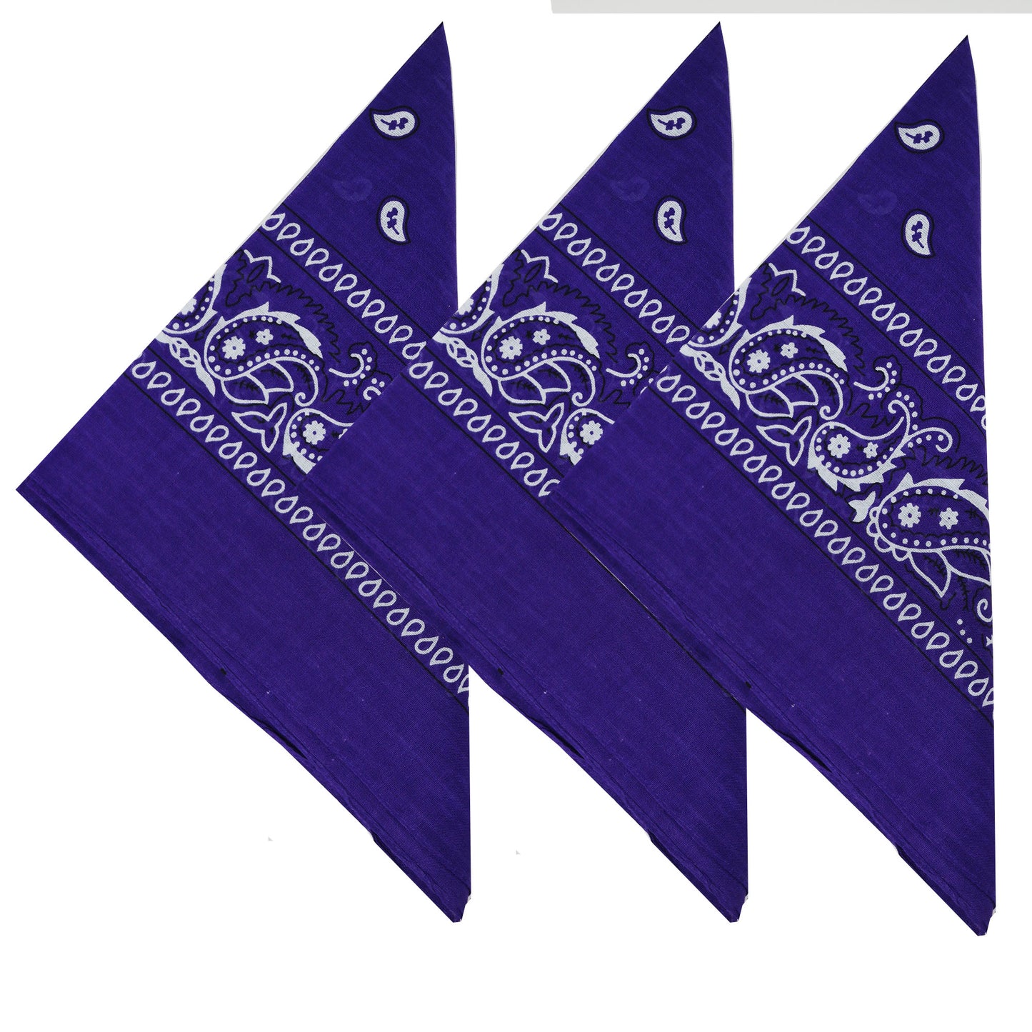 Paisley 3 piece Assorted Cotton Bandanas