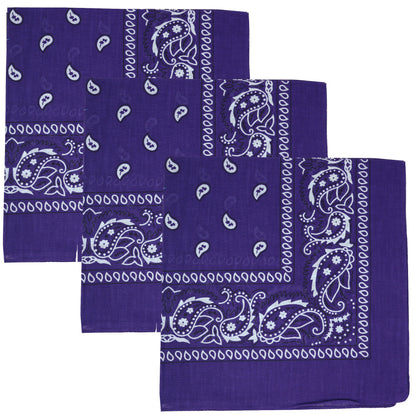 Paisley 3 piece Assorted Cotton Bandanas