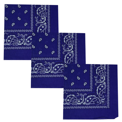 Paisley 3 piece Assorted Cotton Bandanas